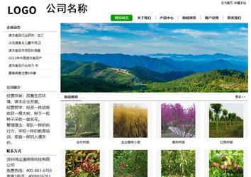 经济型成品案例站No:8260