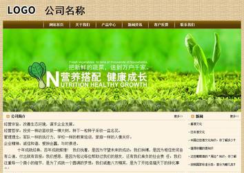 经济型成品案例No:8261