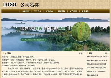 经济型成品案例No:8261