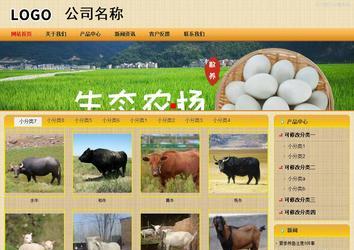 商务型成品案例站No:8266