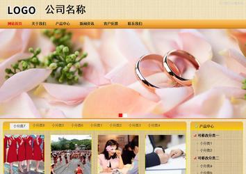 商务型成品案例站No:8266