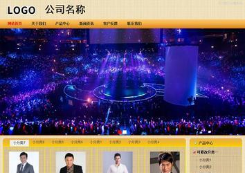 商务型成品案例站No:8266