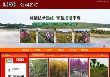 商务型成品案例站No:8268