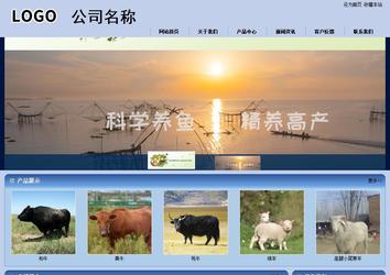 商务型成品案例站No:8270