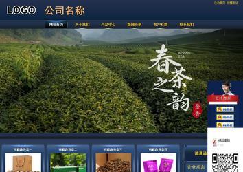 商务型成品案例站No:8278