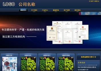 商务型成品案例站No:8278