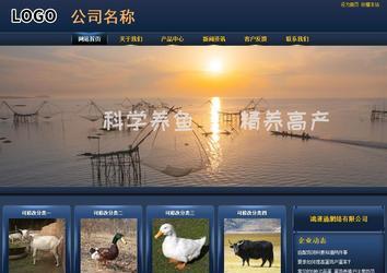 商务型成品案例站No:8278