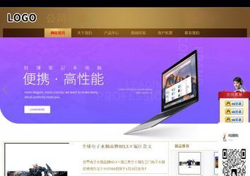 商务型成品案例站No:8284