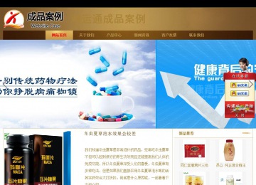 商务型成品案例站No:8284