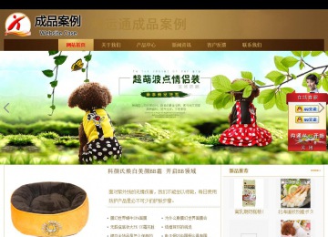 商务型成品案例站No:8284