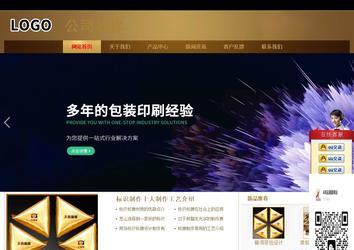 商务型成品案例站No:8284