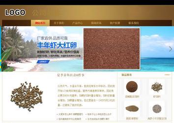 商务型成品案例站No:8284