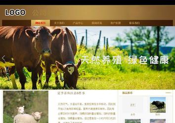 商务型成品案例站No:8284