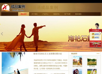 商务型成品案例站No:8284