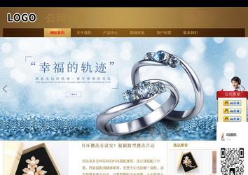 商务型成品案例站No:8284