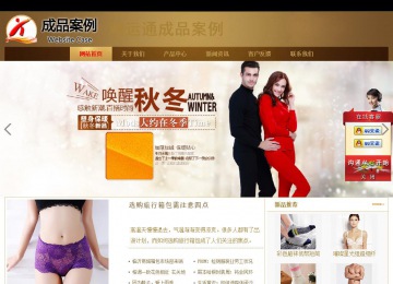 商务型成品案例站No:8284