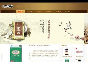 商务型成品案例站No:8284