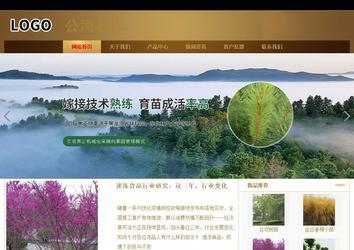 商务型成品案例站No:8284