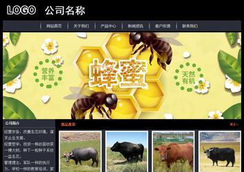 经济型成品案例站No:8292