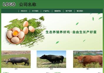 经济型成品案例站No:8312