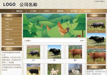 商务型成品案例站No:8321