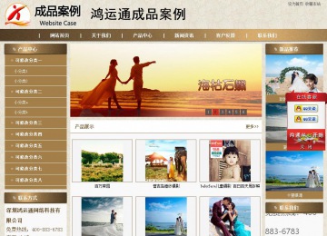 商务型成品案例站No:8321