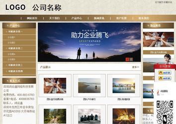 商务型成品案例站No:8321