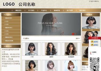 商务型成品案例站No:8321