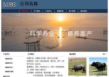 经济型成品案例No:8350