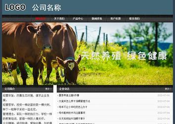 经济型成品案例No:8352