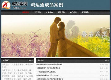 经济型成品案例No:8352