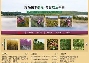 经济型成品案例站No:8353