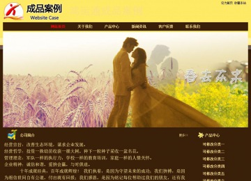 经济型成品案例No:8354