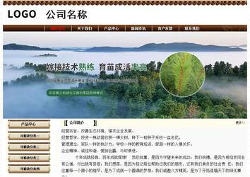 经济型成品案例No:8355