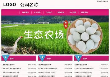 经济型成品案例No:8357