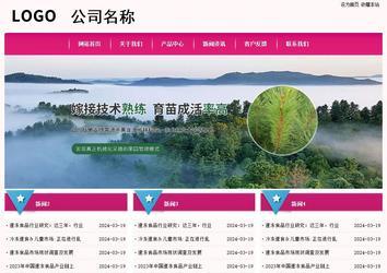 经济型成品案例No:8357