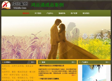 经济型成品案例No:8360