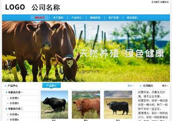 经济型成品案例No:8369