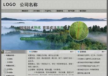 经济型成品案例站No:8370