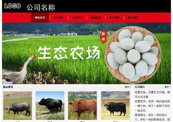 经济型成品案例No:8372