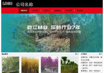 经济型成品案例No:8372