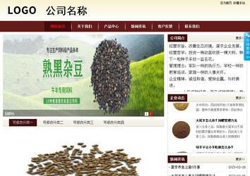 商务型成品案例站No:8381