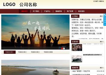 商务型成品案例站No:8381