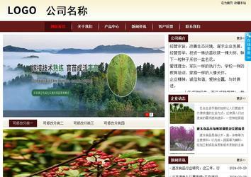 商务型成品案例站No:8381