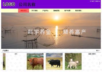 经济型成品案例站No:8383