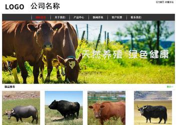 经济型成品案例站No:8389