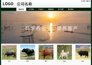 经济型成品案例No:8398