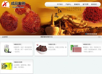 商务型成品案例站No:8409