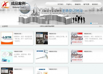 商务型成品案例站No:8409