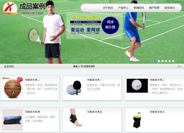 商务型成品案例站No:8409